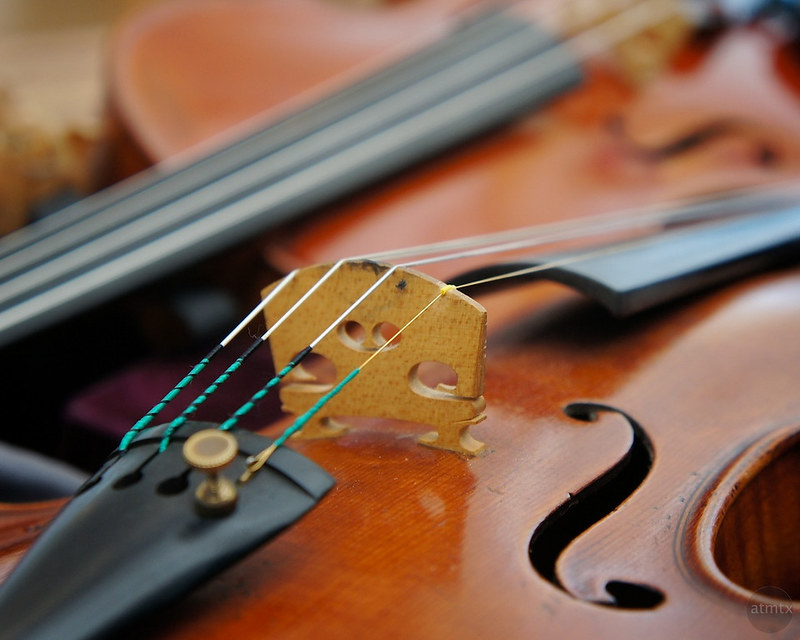 Photo of two violins