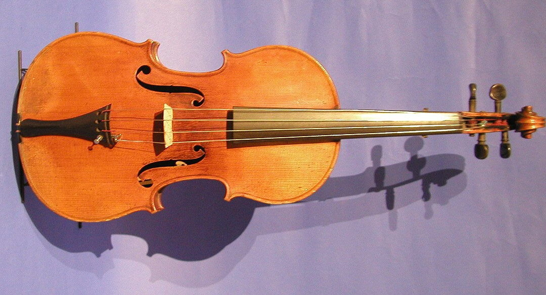 Photo of a viola