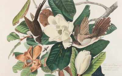 On Hearing the First Cuckoo in Spring